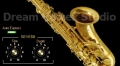 DVS Saxophone de Dream Vortex Studio